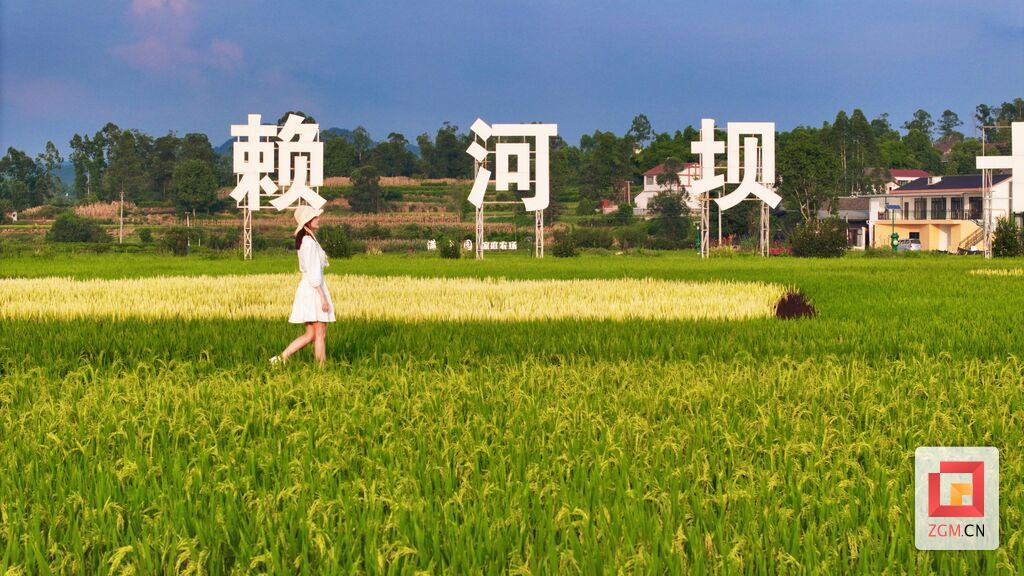 微信图片_20250808161708_副本.jpg