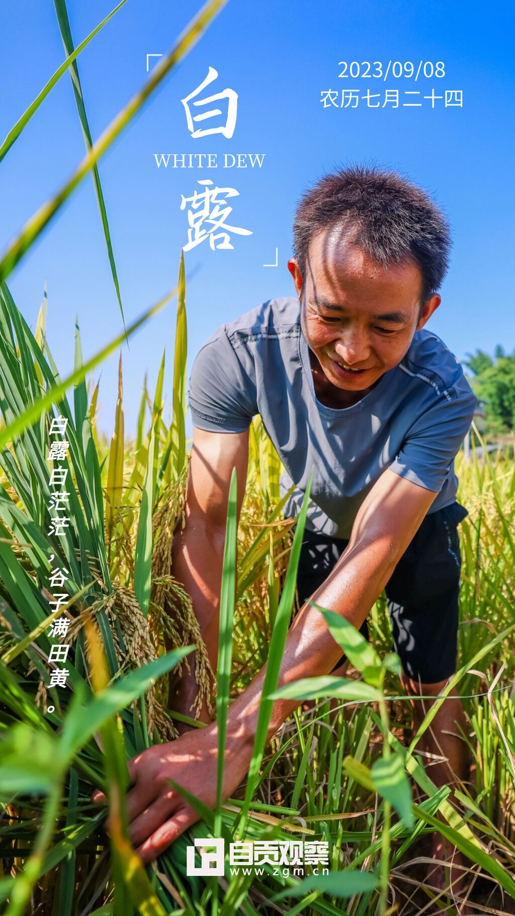 白露海報1.jpg