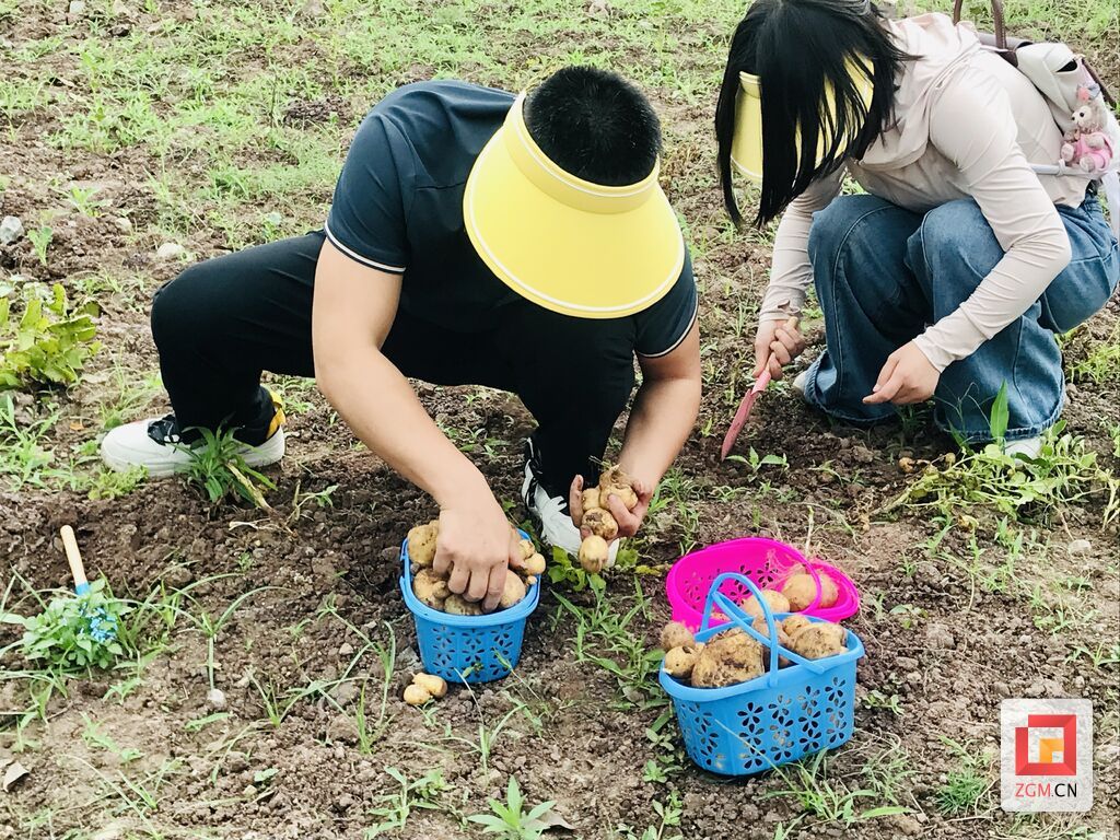 微信图片_20250510170001.jpg