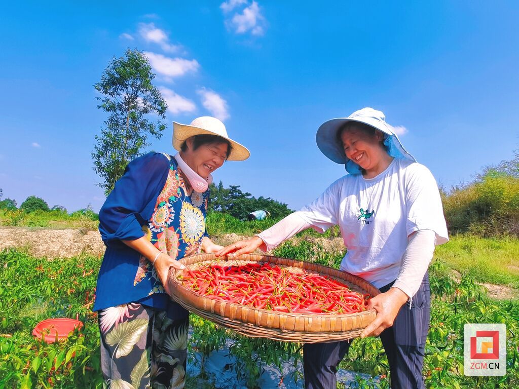 村民笑欢颜.jpg