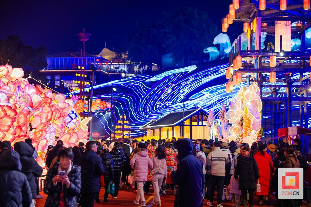 游客漫步“盐街灯市”，每一步都踏出古今交融的梦幻韵律 记者 宋姿熠 摄.jpg