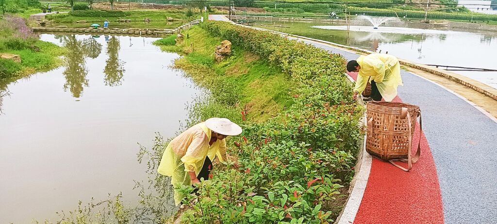 铁钱溪治理43.jpg
