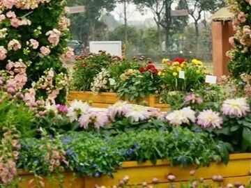 花期变“钱”景 成都“赏花+”激活春日消费热潮