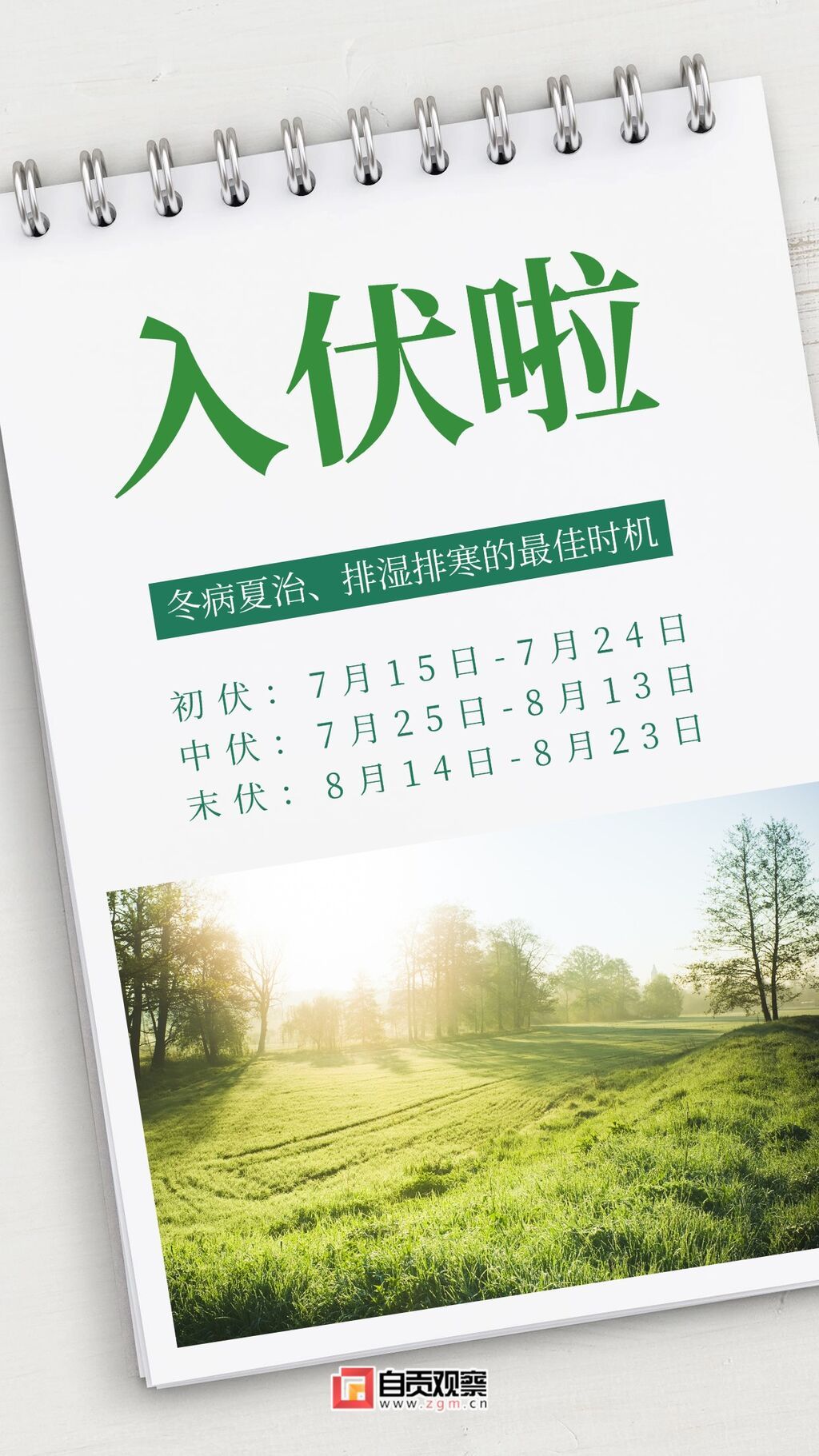 初伏節(jié)點(diǎn)祝福問候排版手機(jī)海報(bào).jpg