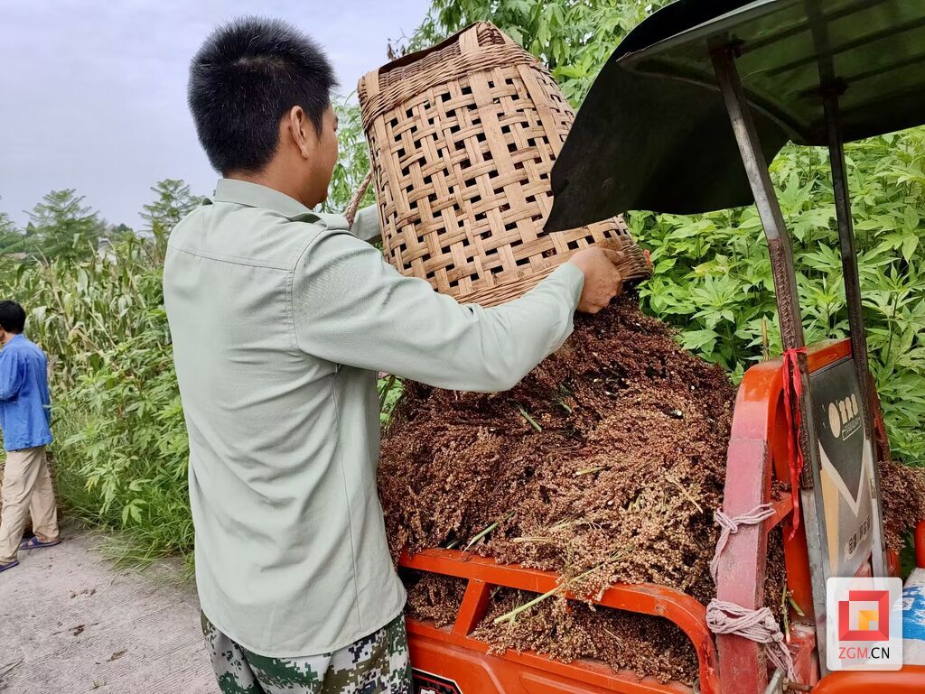 微信图片_20250806224515.jpg