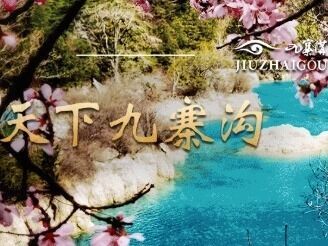 4月1日起九寨沟景区全段恢复开放，实行旺季旅游接待政策