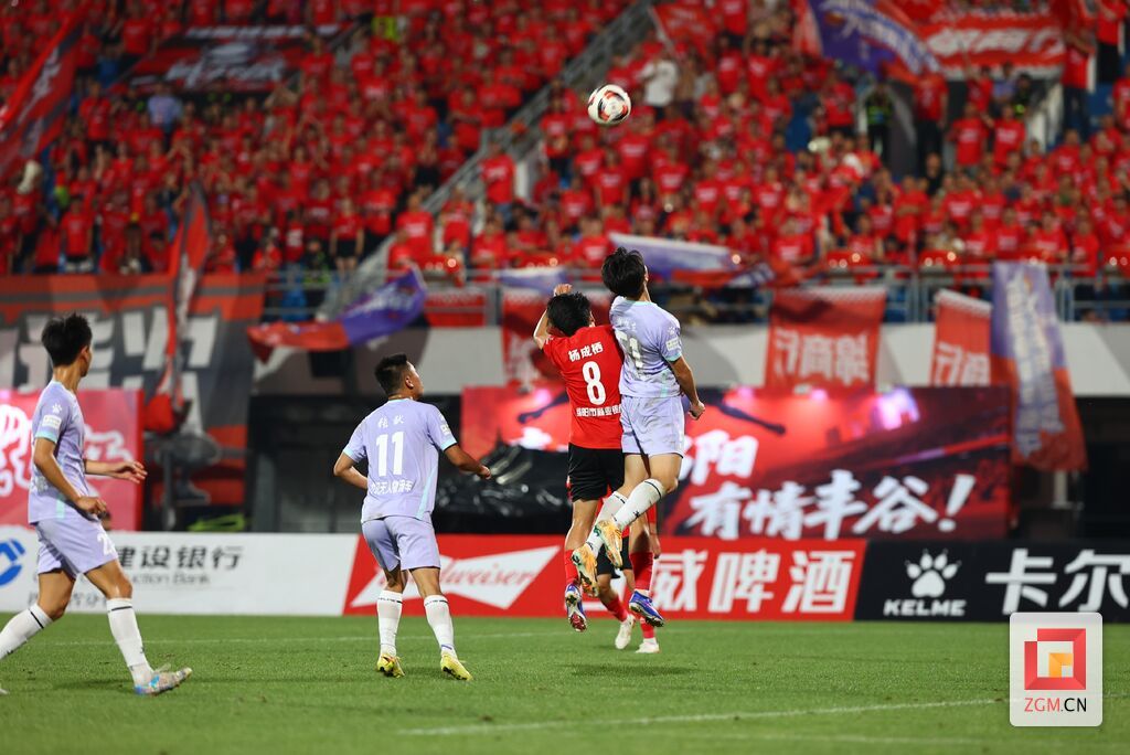 微信图片_20260616150541_491_130.jpg