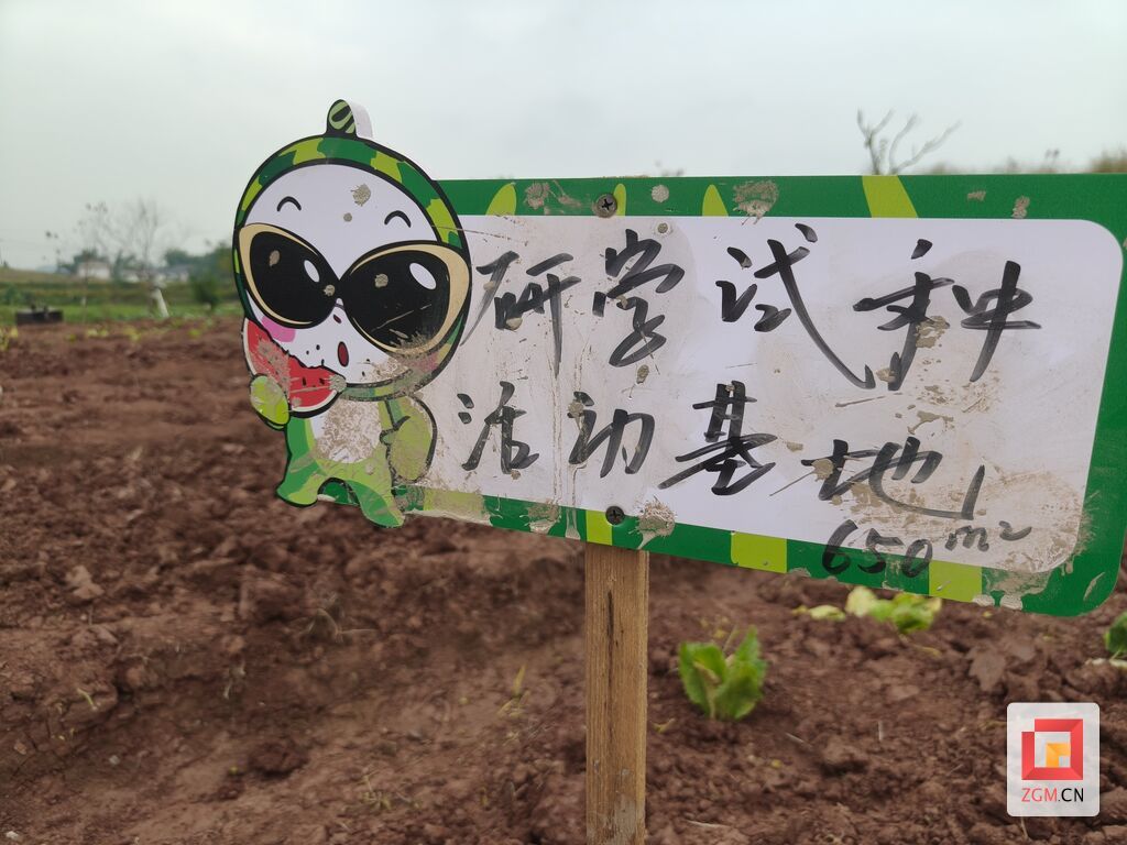 微信图片_20261027110206_1121_172.jpg