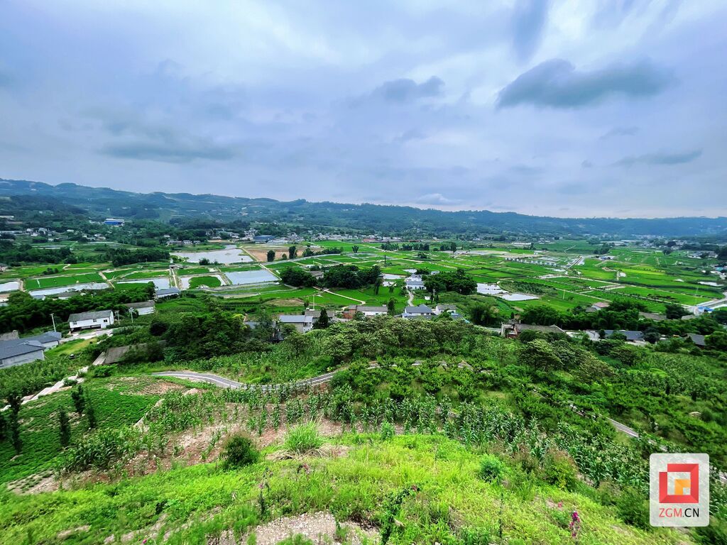 8五通村稻漁綜合種養(yǎng)4000余畝.jpg