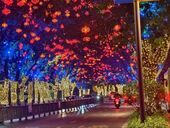 一城灯火璀璨如星河