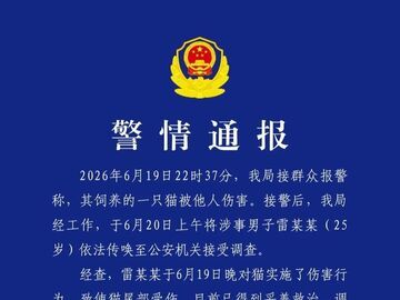 成都一男子伤猫，被行政处罚