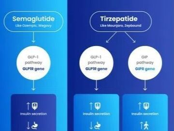 最新医学研究：基因差异可能影响减重药物疗效及副作用