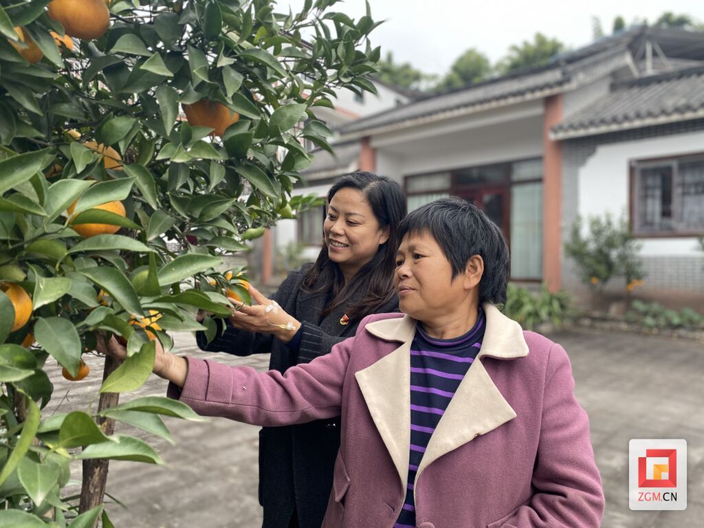 微信图片_20231228105204.jpg
