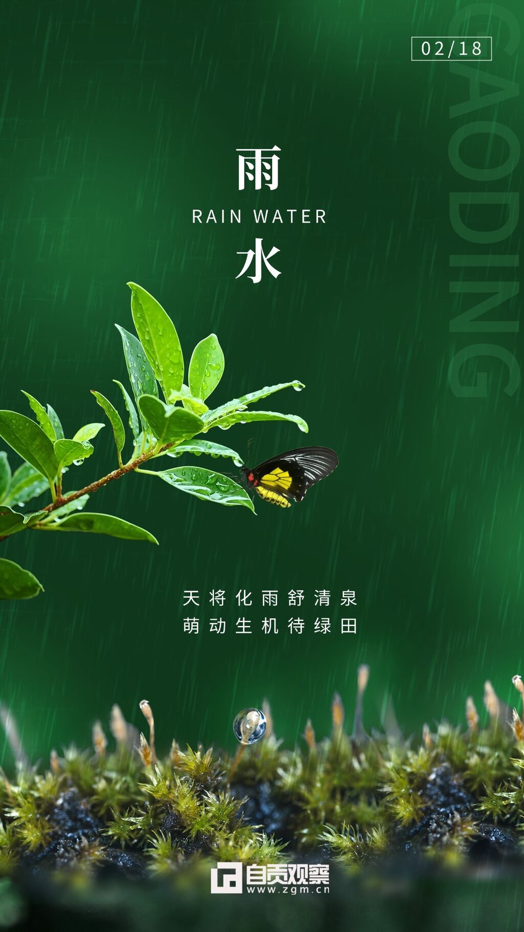 雨水节气祝福实景合成手机海报.jpg
