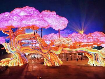 自贡灯会“长”出130米巨型“梦幻灯树” 堪比阿凡达的“生命之树”