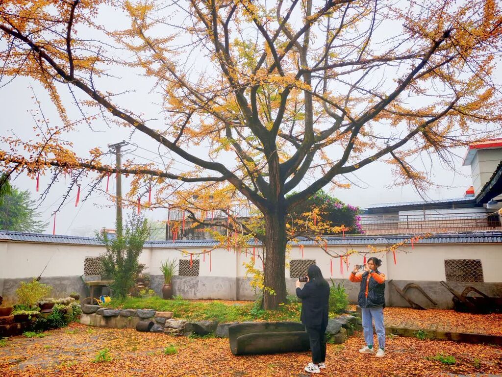 乌拉村陶然山庄内景色 (8).jpg