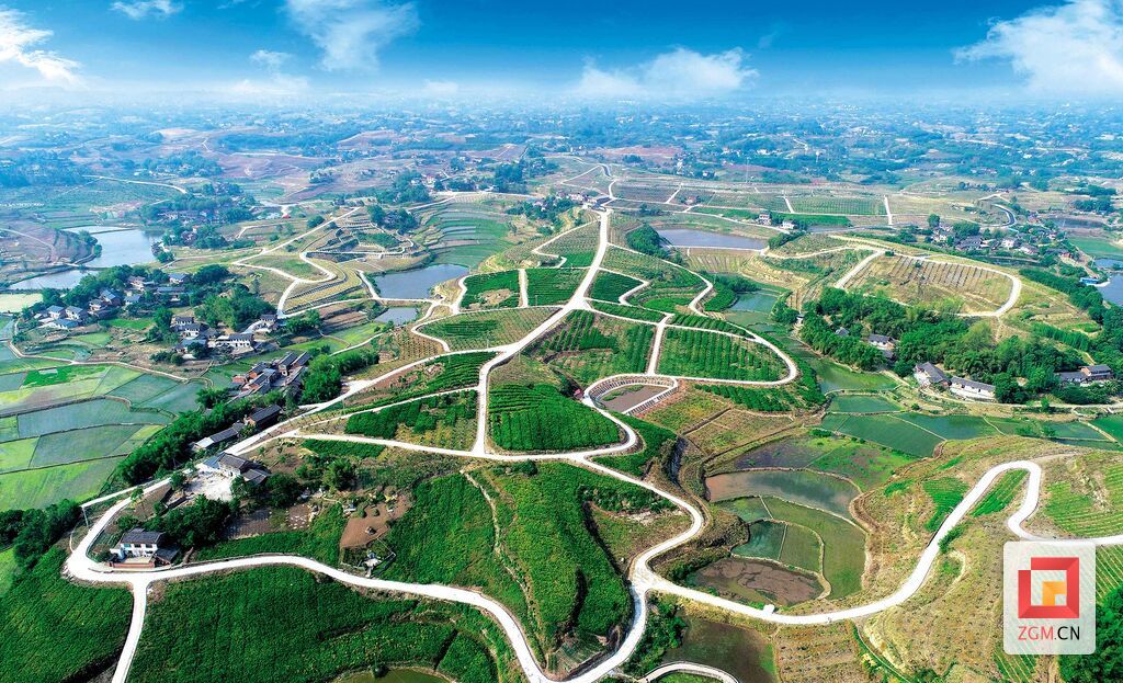 图：贡井区果园产业公路