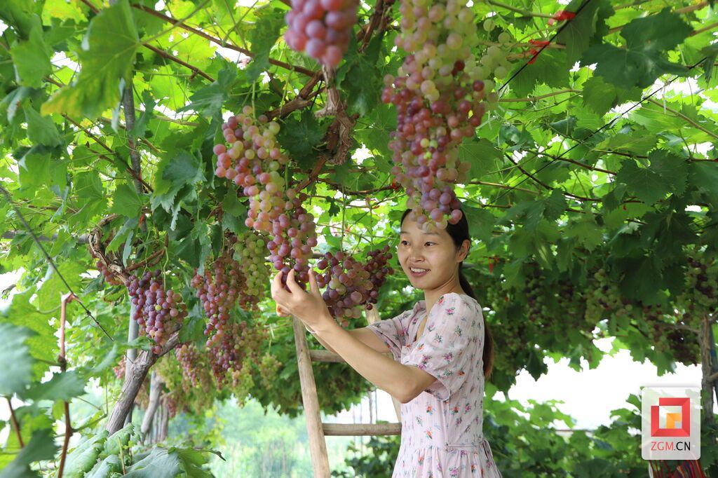 微信图片_20260703121132_5650_74.jpg