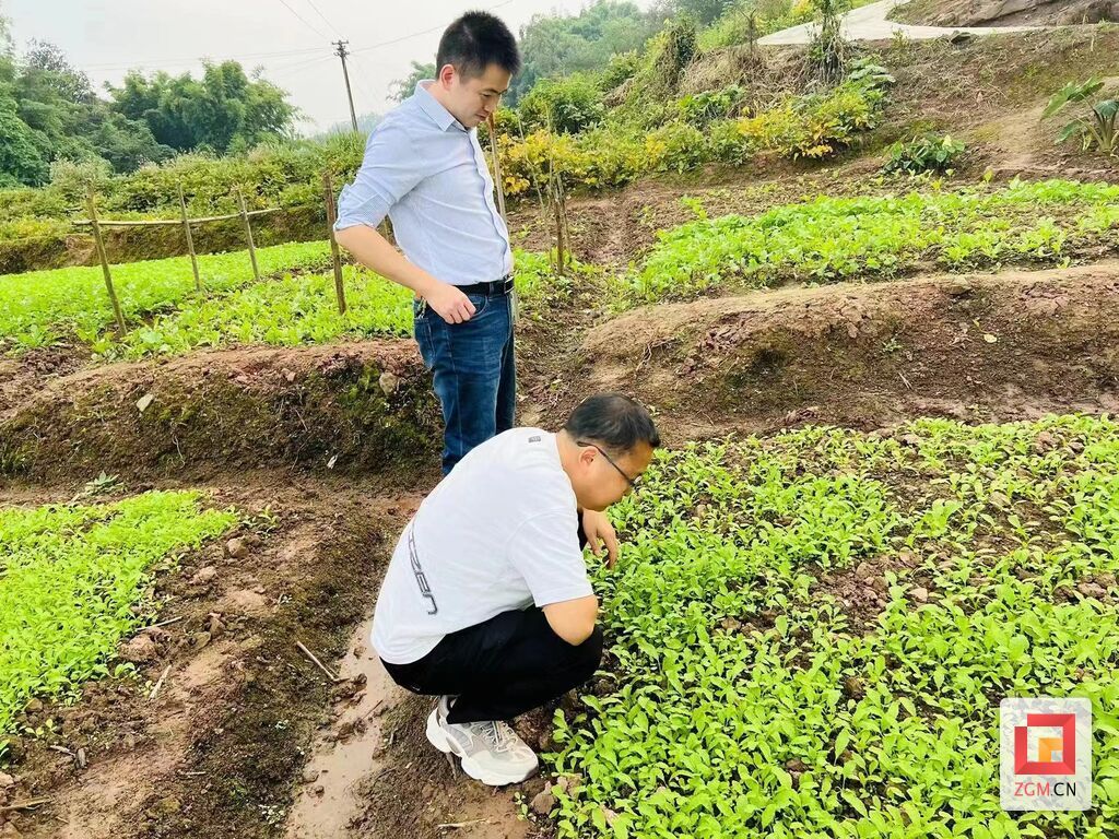 微信图片_20231130102732.jpg