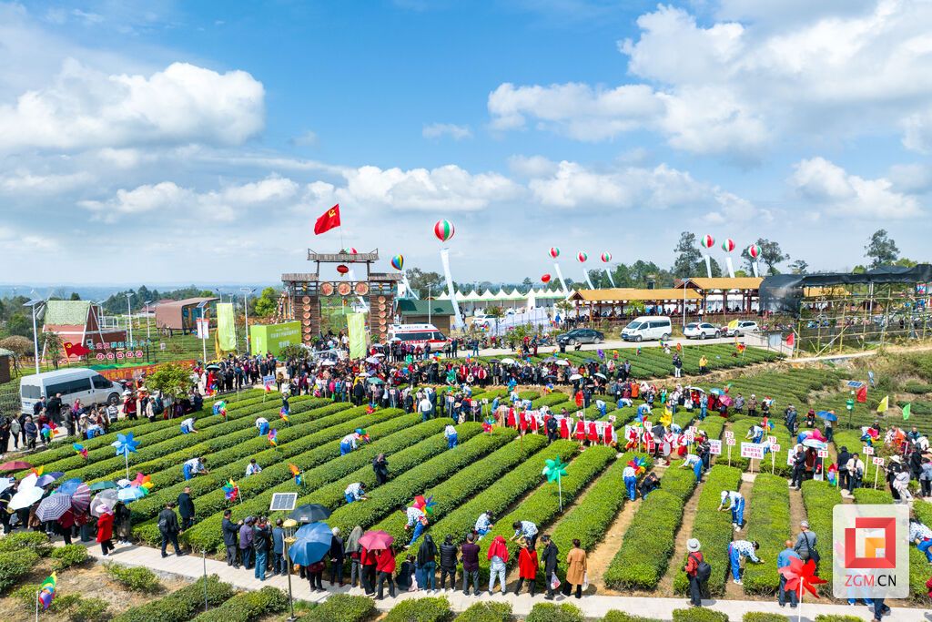 在一洞桥村举行的荣县“茶旅风情季”活动现场（受访方供图）.jpg