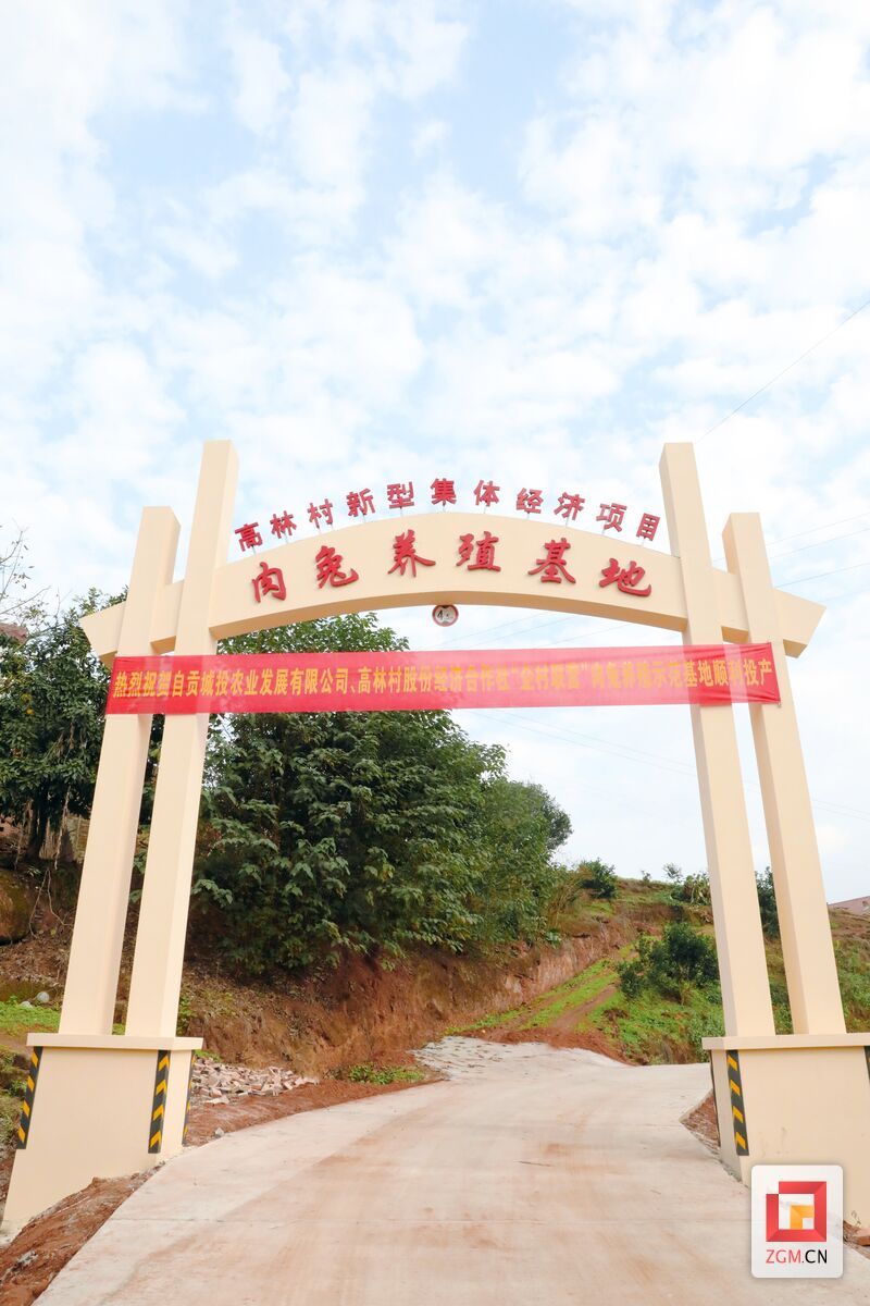 筑"笼"引"兔" 贡井区五宝镇高林村集体经济扬帆起航