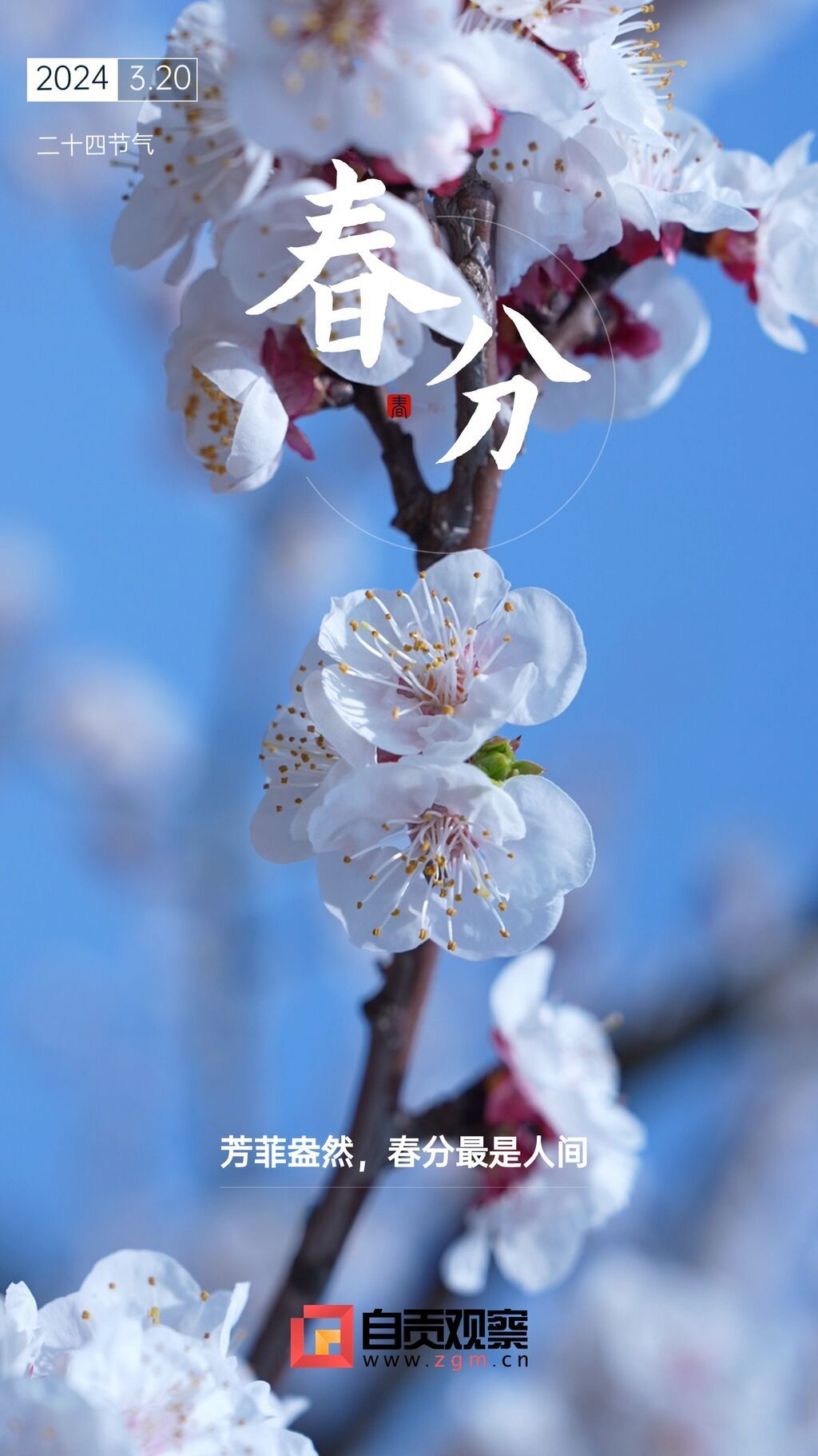 春分节气祝福实景手机海报.jpg