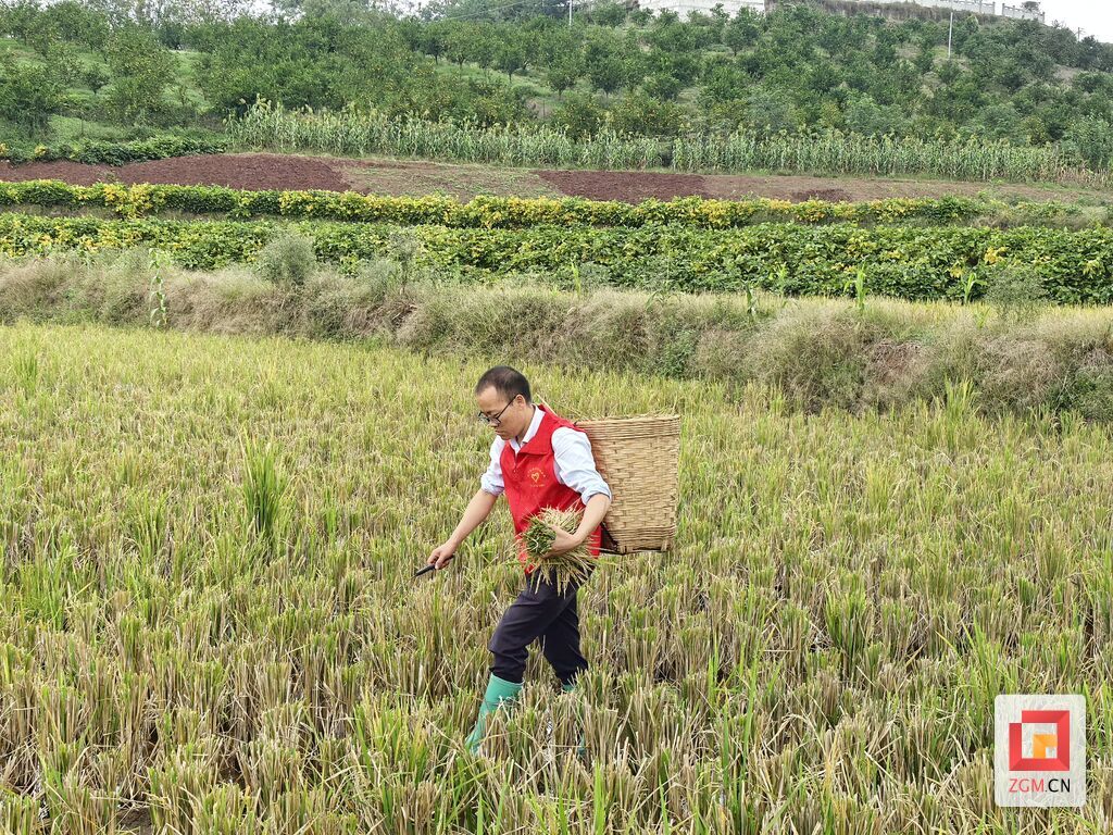 微信图片_20260710121759_98_48.jpg