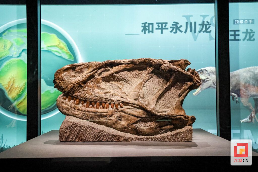 世界上保存最完整的肉食性恐龙头骨.JPG