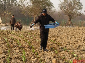 广汉藏着一座神奇工厂！靠“虫虫特工队”撬动城市大生态