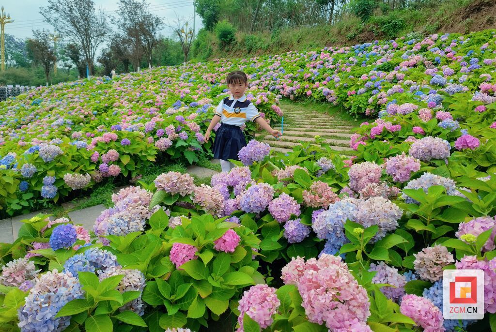 微信图片_20260526171219_4907_74.jpg