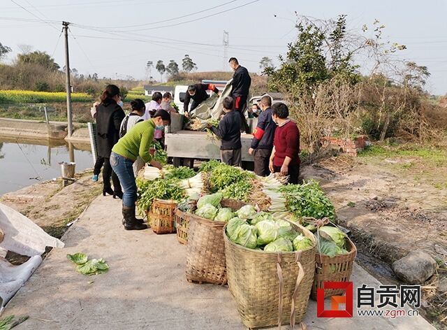 微信圖片_20200213170729.jpg