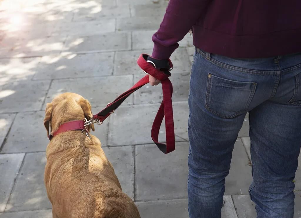 △资料图（图片来源/视觉中国）设为缩略图