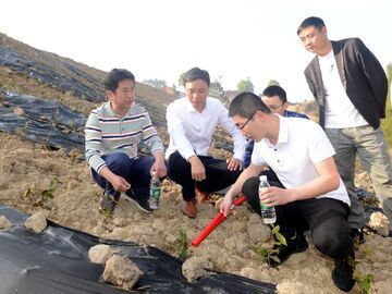 荣县推行茶园抗旱管护“宝典” 护航21.5万亩茶产业