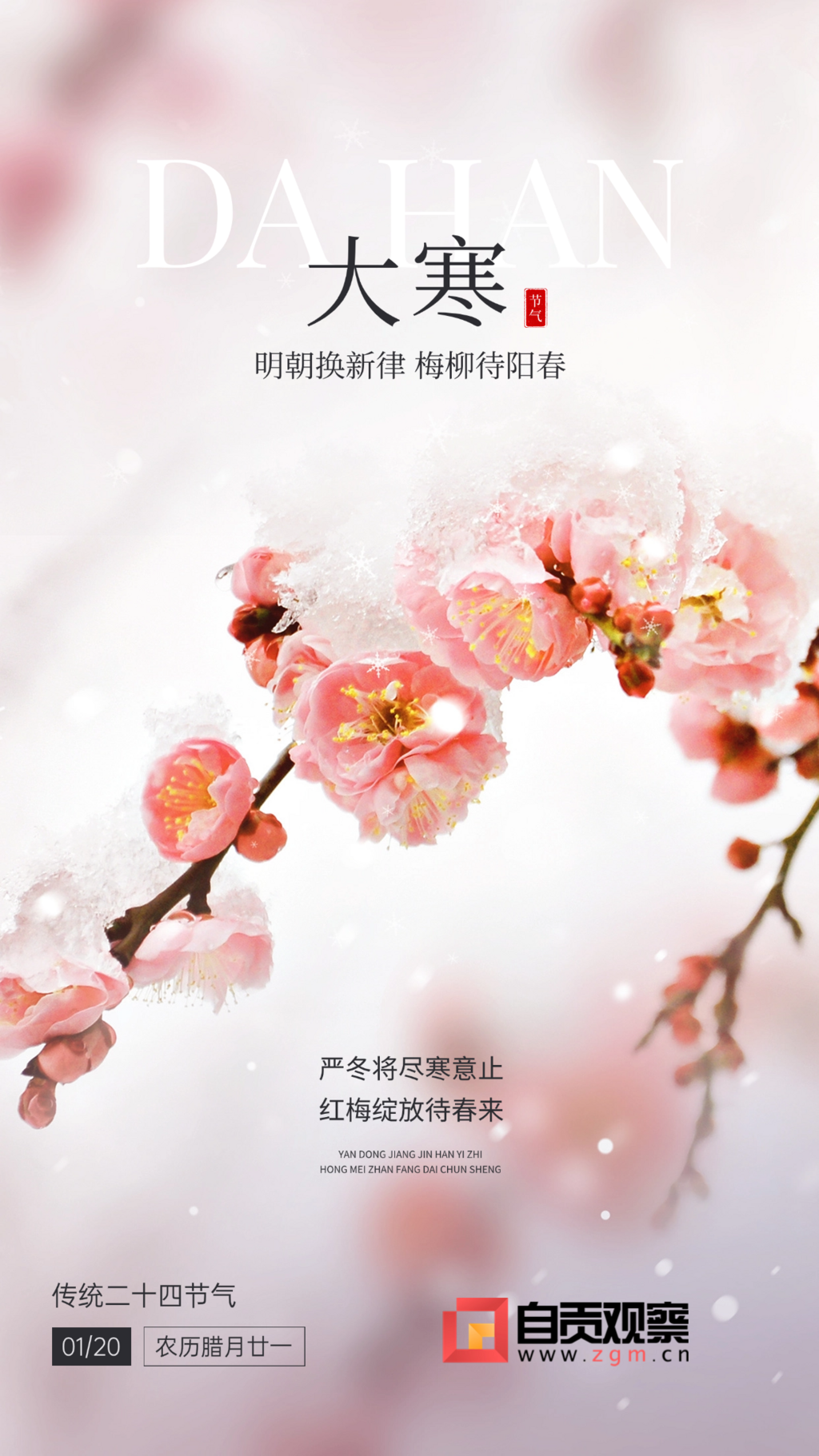 大寒金融保險(xiǎn)節(jié)氣祝福實(shí)景風(fēng)手機(jī)海報(bào).png