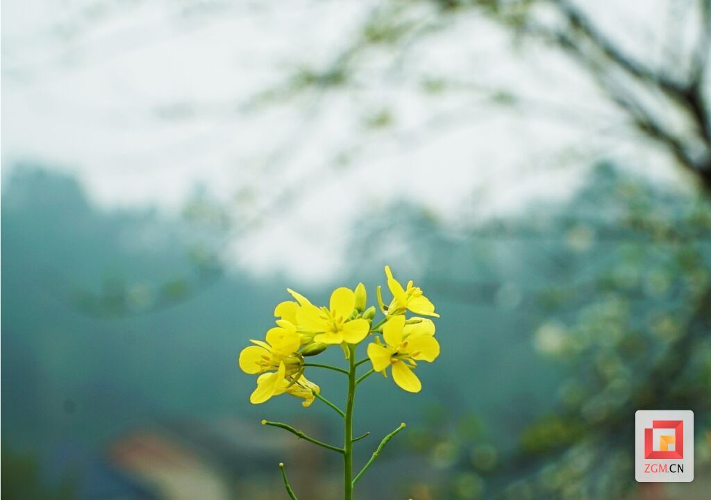 04.jpg