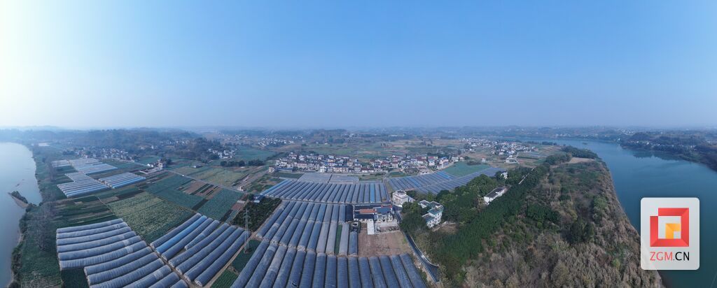 图6大安区牛佛镇农科村蔬菜种植基地.jpg