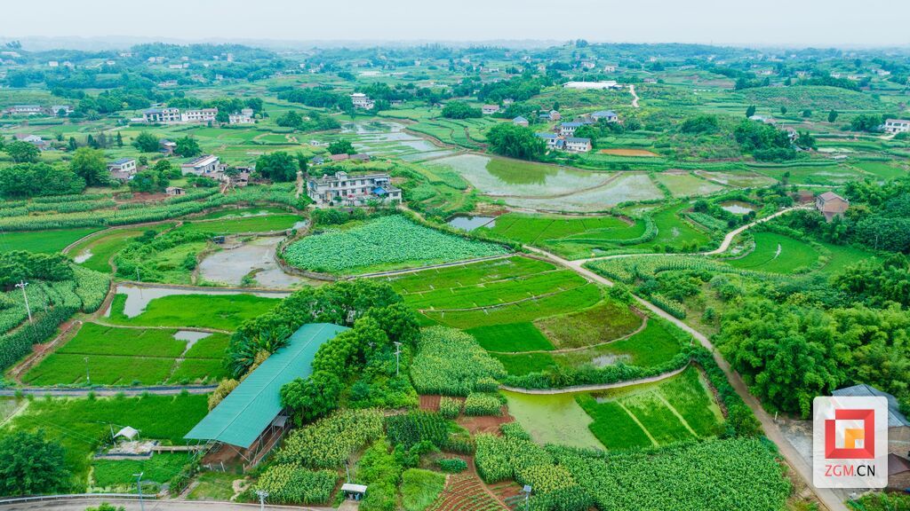 盛夏骄阳下绿意盎然的三河村 曾鹏程摄.jpg