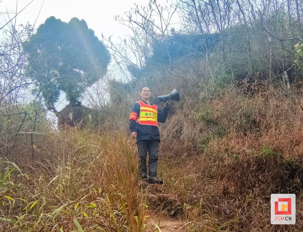 巡山查看.jpg