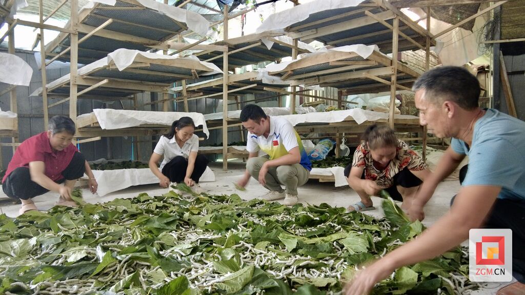 微信图片_20250907171006.jpg