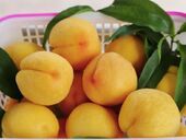 夏日时光 “桃”醉乡村