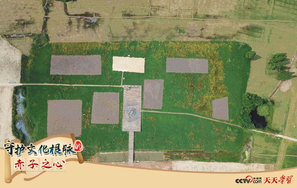 2019年6月23日无人机拍摄的良渚国家考古遗址公园的宫殿区。