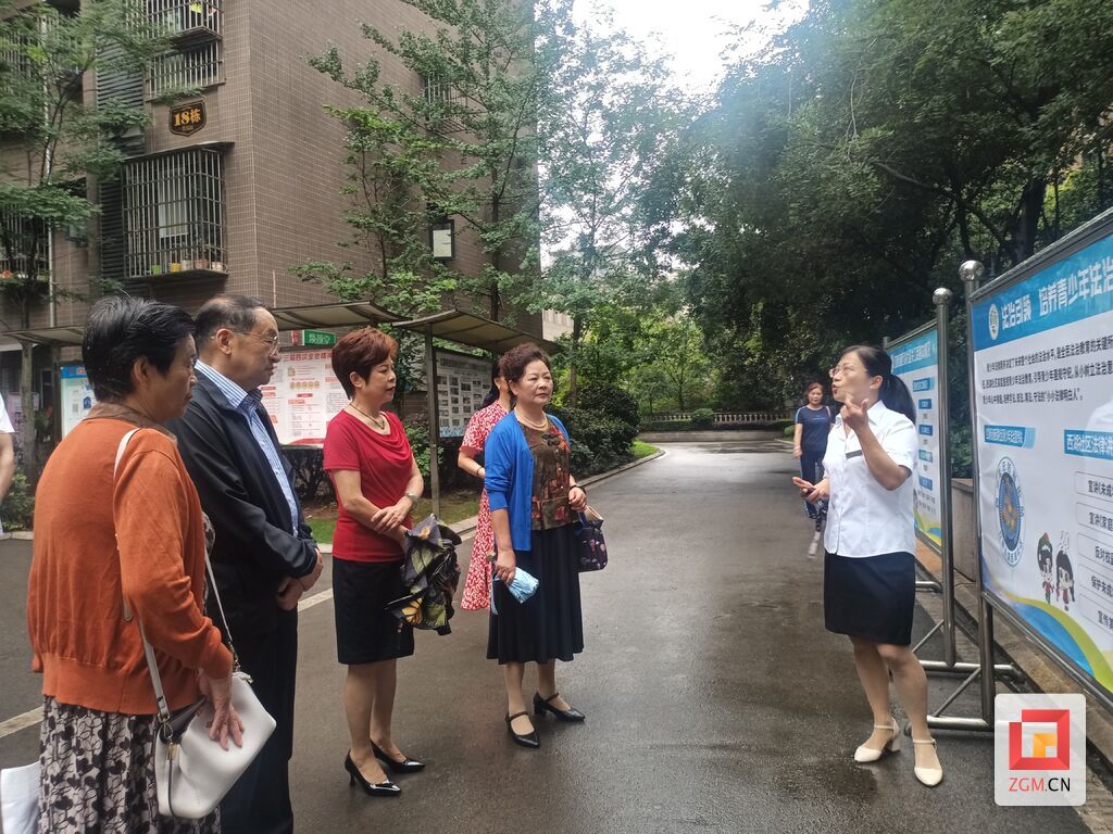 法治宣传调研高新区.jpg