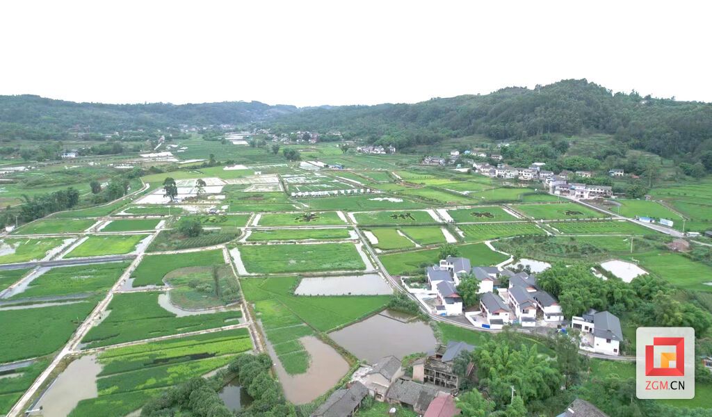 下載圖片 (79).jpg