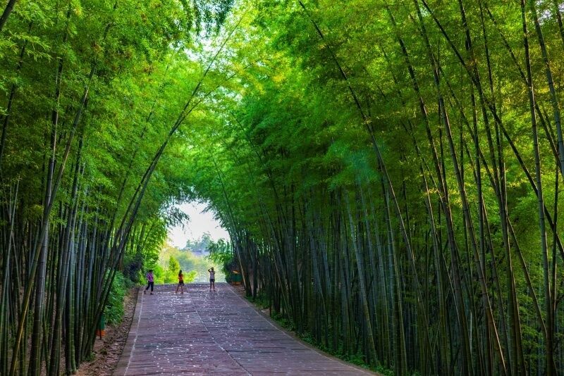 图片1.jpg?x-oss-process=style/w10