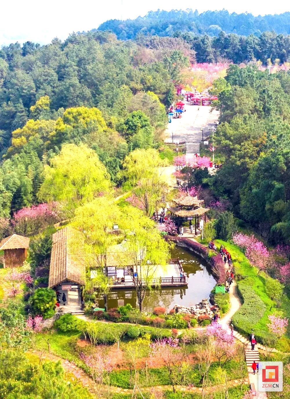 尖山桃園.jpg
