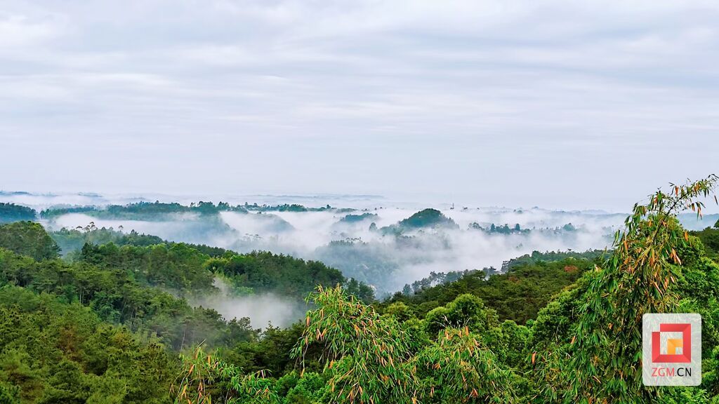草堂村秀美林景1.jpg