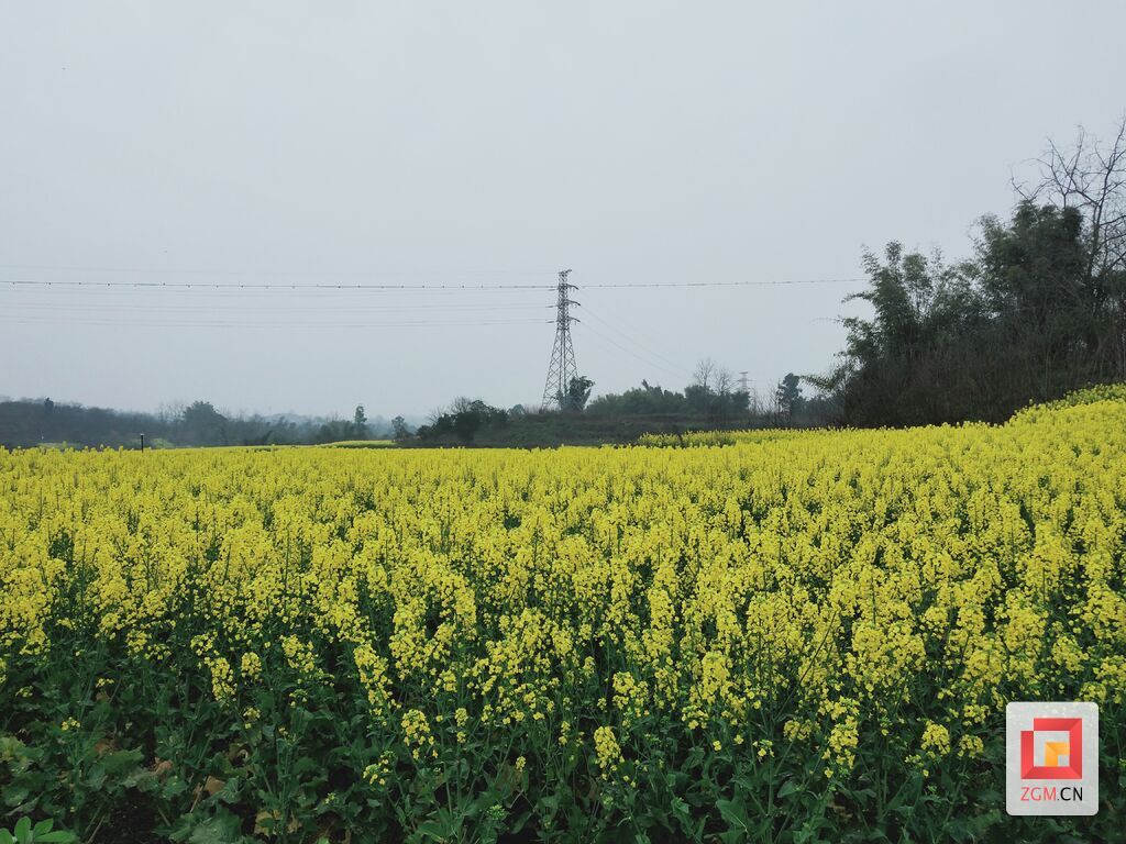 微信圖片_20250310164340.jpg