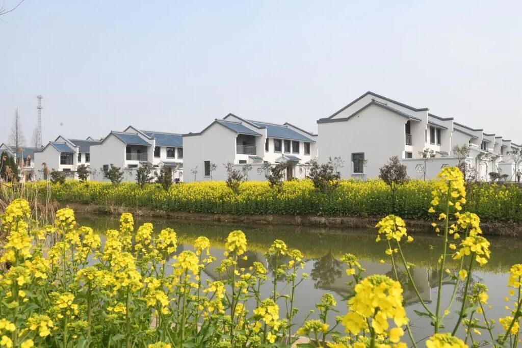 盐城的农村新型社区。图自中江网