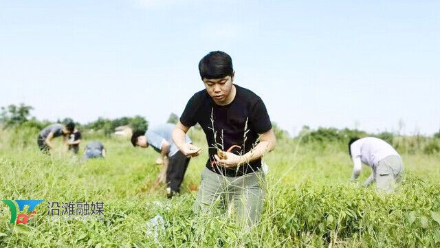 下载.jpg