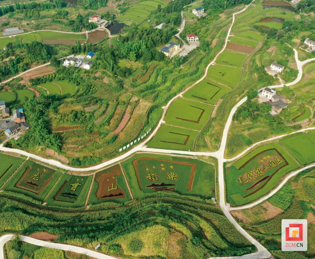 龙贯山稻粱现代农业园.jpg